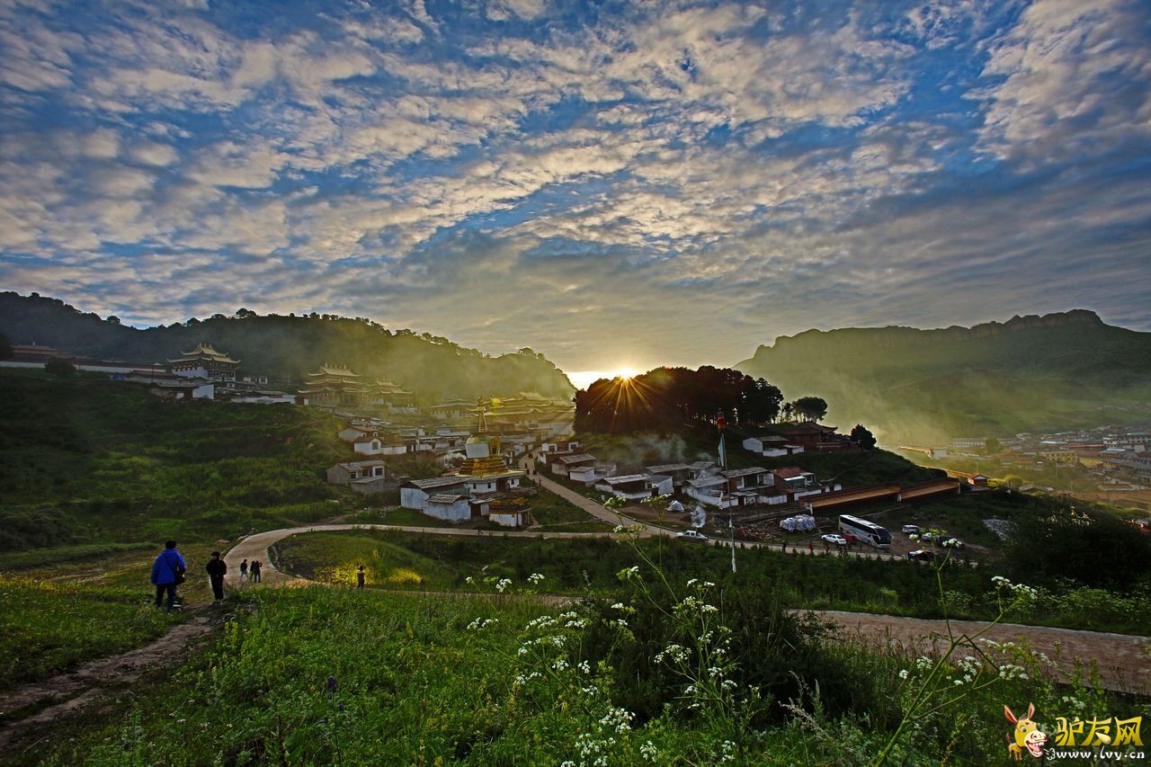 ���1 (8).jpg